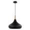 Nuvo Phoenix 1-Light Medium Pendant - Matte Black with Polished Nickel 60/7513 - alternate 4